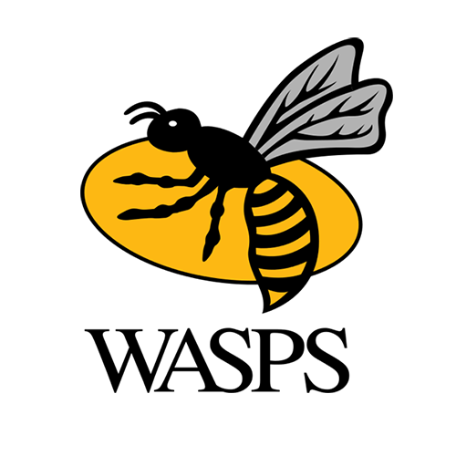 Wasps logo